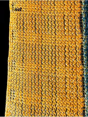 Hexagon Olive Harvest Net 30gsm - 200gsm Mulberry Harvesting Net