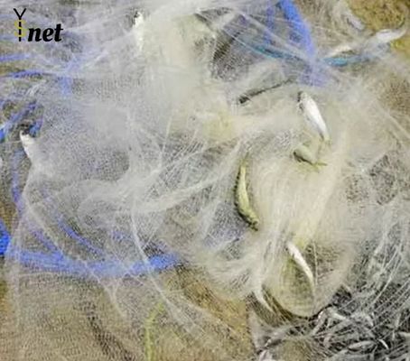 Custom Fishing Net Sticky Net Is Not Easy To Break To Prevent Leakage Of Fish Buy Fishing nets