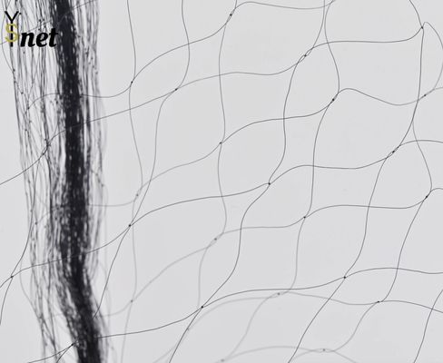 Nylon 100% PA-6 material Best Selling Net Nylon Monofilament Double Knot Fishing Net lage fish used stretching net