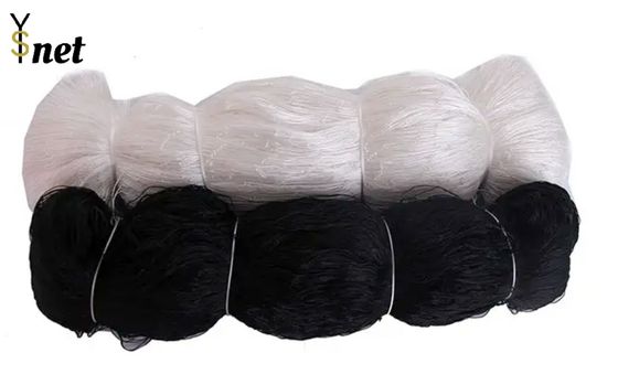 210D Sea Fishing Net Multi Knotted Polyester Fishing Net 5MD - 1000MD