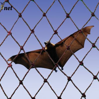 Polyethyleen vleermuis uitsluitingsnet zwart zwaar werkend vogelnet UV-bestand