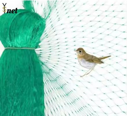 Black Bird Proof Net 100m 200m 300m 500m Bird Control Mesh For Garden
