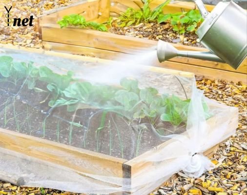 HDPE Greenhouse Bird Netting 20gsm - 30gsm Insect Netting For Garden