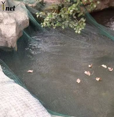 Corrosion Resistant HDPE Bird Netting Transparent Agricultural Mesh Netting 10m Wide
