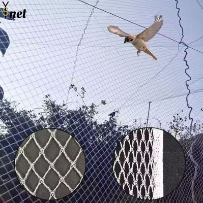 Agricultural Bird Prevention Netting 5m - 1000m Knitted Bird Netting