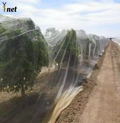 White Fruit Orchard Netting 10gsm - 60gsm Orchard Bird Netting
