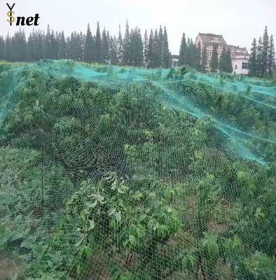 White Fruit Orchard Netting 10gsm - 60gsm Orchard Bird Netting