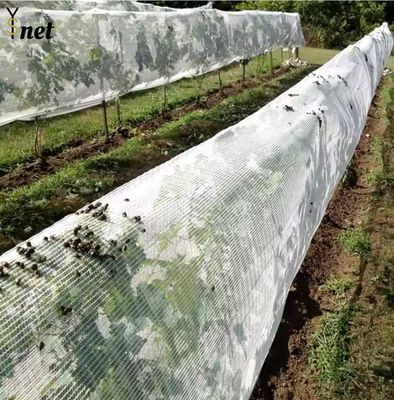 White Fruit Orchard Netting 10gsm - 60gsm Orchard Bird Netting
