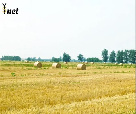HDPE biologisch afbreekbare hooibal 2000m 3000m 3400m Wrap Silage Net Wrap