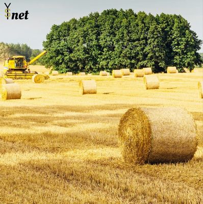 Customized Round Bale Net Wrap 1.25X2000m Bale Wrap Net 8gsm - 10gsm