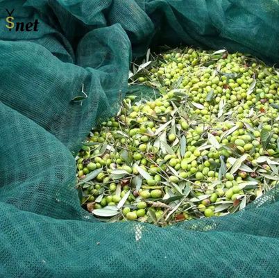 5x10m 6x12m Fruit Collecting Net 100gsm Apple Collecting Net