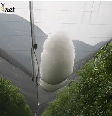 Anti Hail Nets for Apple Tree Agriculture Anti Hail Net Anti-hail Net With Pillars