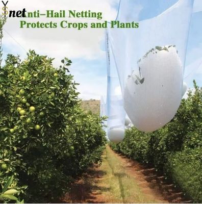 Anti Aging Commercial Orchard Netting 40gsm 50gsm Garden Plant Netting