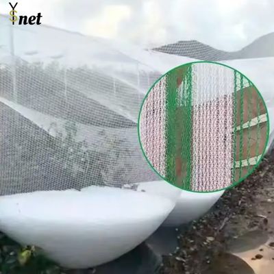 Anti Aging Commercial Orchard Netting 40gsm 50gsm Garden Plant Netting
