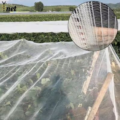 Polyethylene Apple Tree Net Cover 60m 70m 80m Apple Tree Netting
